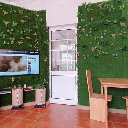Bruma Hostel Ponta Delgada Eksteriør bilde